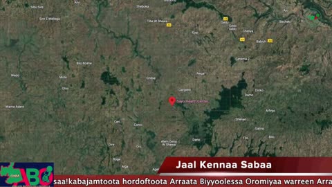 Oduu Waaree ONM-ABO Sadaasa 24-2024 itti dhiyaadhaa!