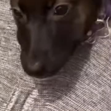 It wasn't me honest 😂🤣