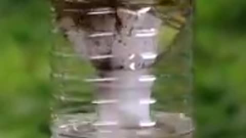 FATOS QUE PODEM SALVAR A SUA VIDA