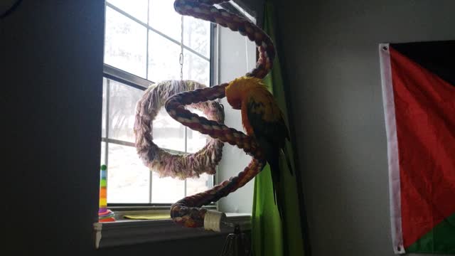 Skittles first video