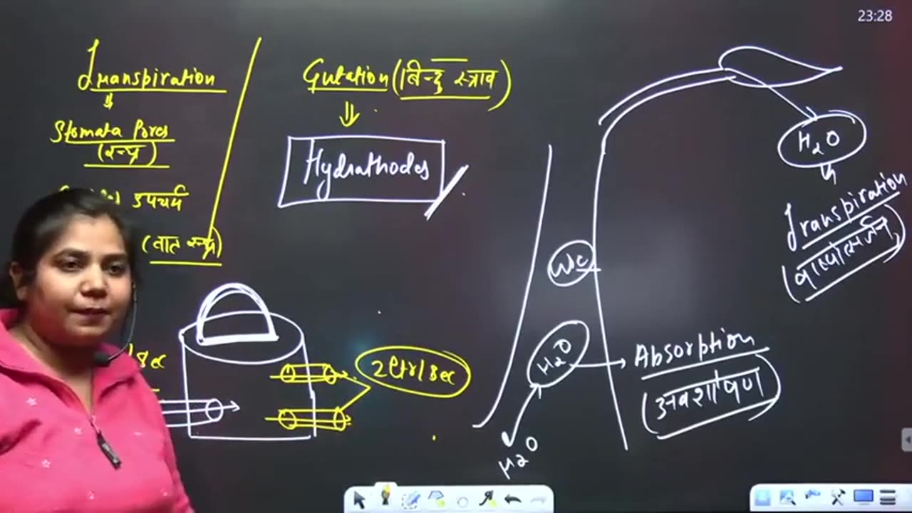 94 transpiration 2