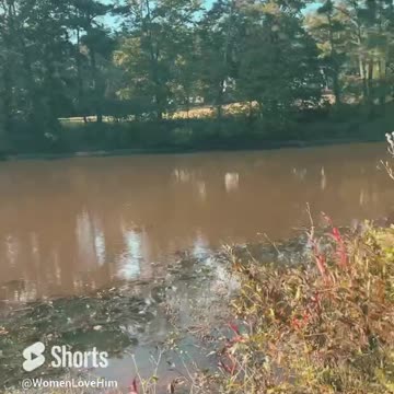 Abundance of peace outside