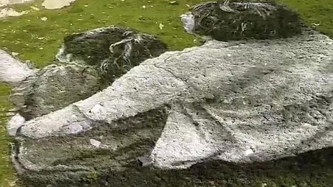 Awesome artist! This artist transforms grass into his canvas👏
