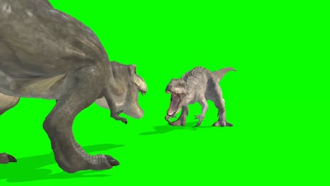 two dinosaurs fight scene video with green screen