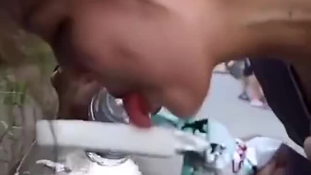 Kidnapped by ice-cream