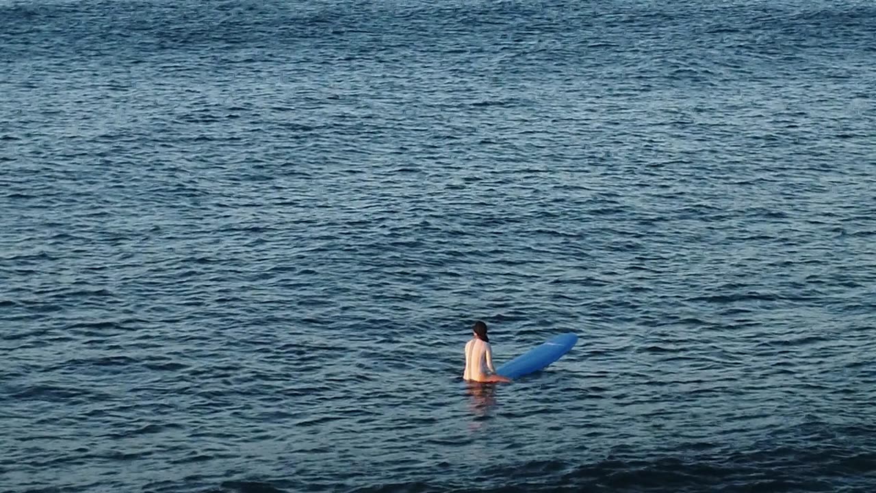 Erin at the Ala Wai 2023-11-11 Sat 1-3 feet