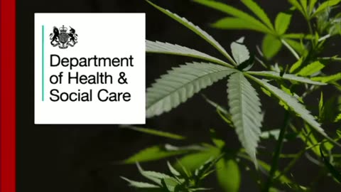 Why is it so difficult to get medicinal cannabis in the UK? - BBC News