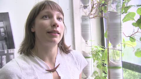 Window Gardening