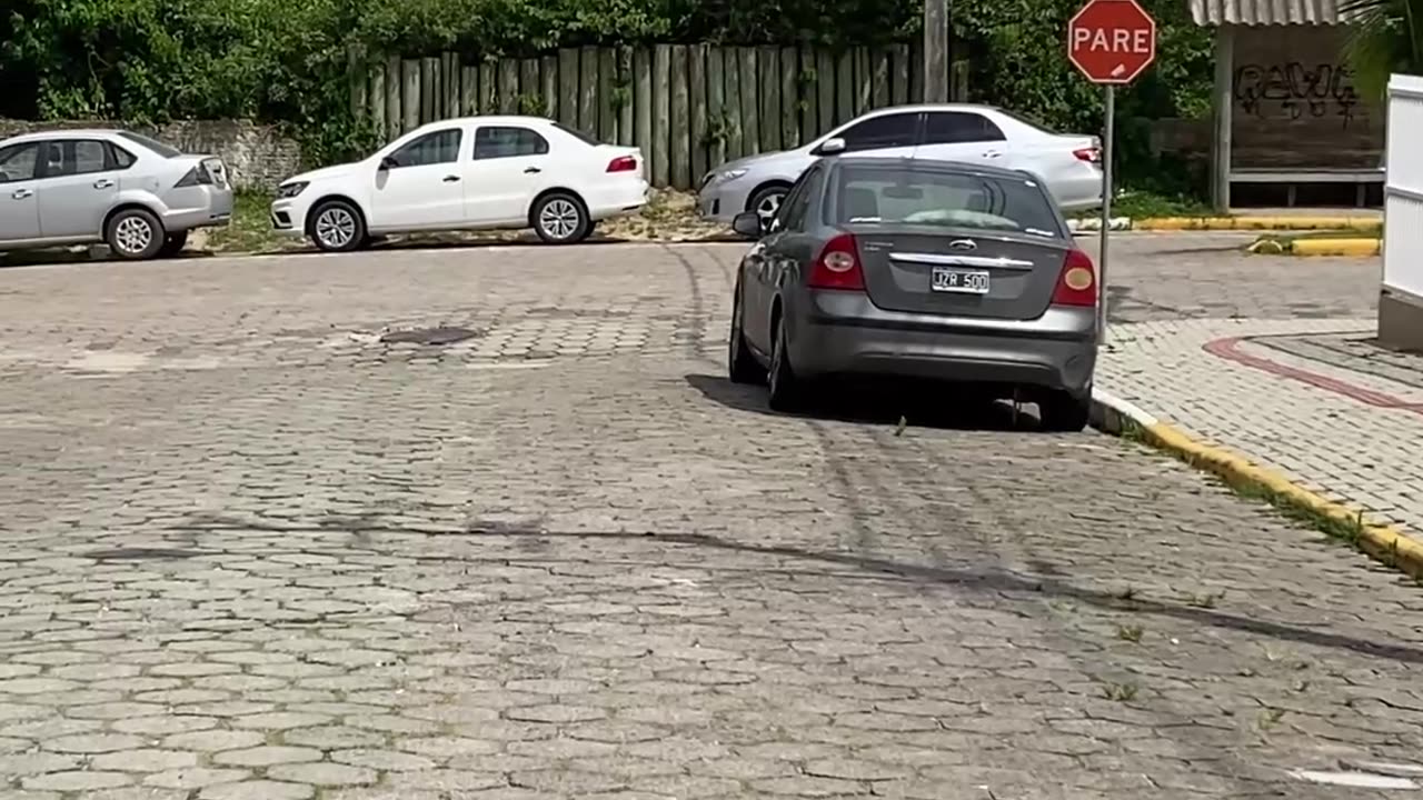 Curtindo uma tarde na praia de Quatro Ilhas, Bombinhas - SC | Som Ambiente