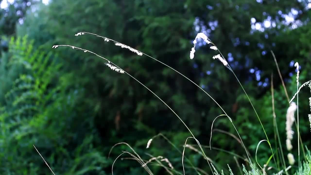 One day, I was enjoying nature somewhere beautiful and quiet