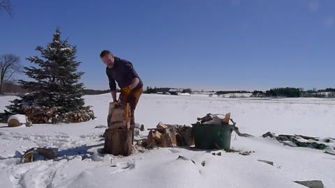 Barking a birch log and splitting it. Spring, Caledon