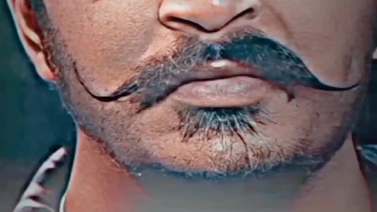 Gulzaar chhaniwala