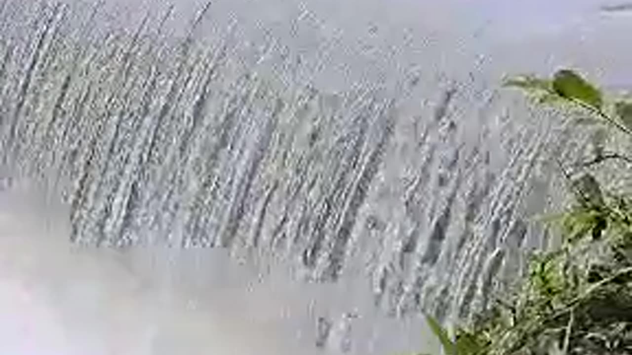 Orginal Accident