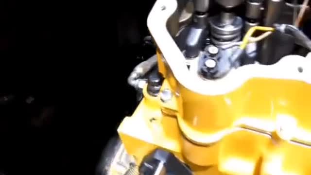 Here comes the CAT that my family wants. Look at my first perspective of eating # Engine