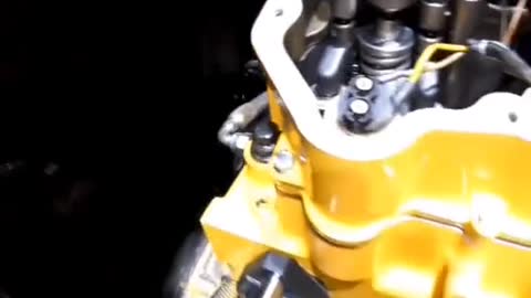 Here comes the CAT that my family wants. Look at my first perspective of eating # Engine