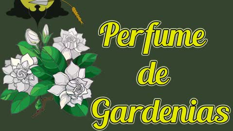 Perfume de Gardenias