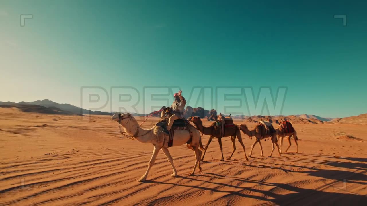 Paradise in Desert