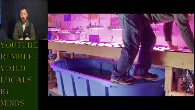 Waylon, The Indoor Farmer EP #21. Learning To Manage A Bigger System