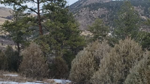 Juniper Peak Panorama