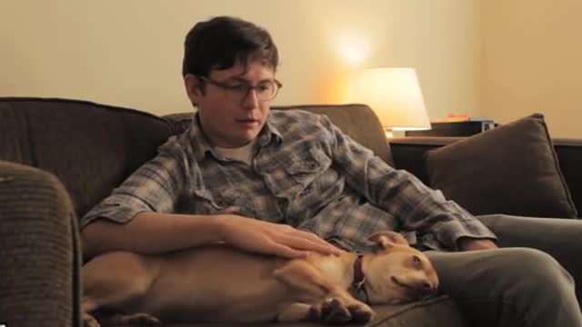 The results of your dog’s DNA test might surprise you…