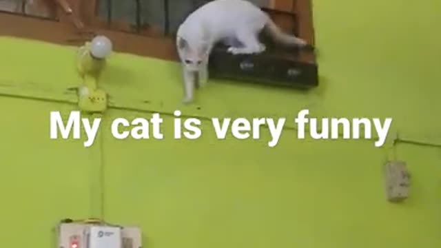 May cate is very funy