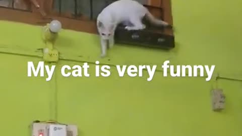 May cate is very funy