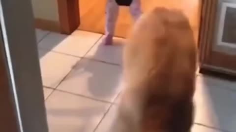 A dog teach a baby how to jump 👏