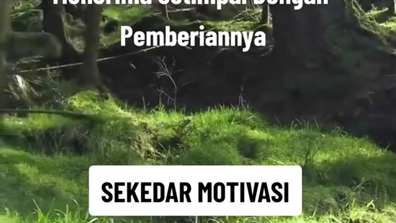 Motivasi