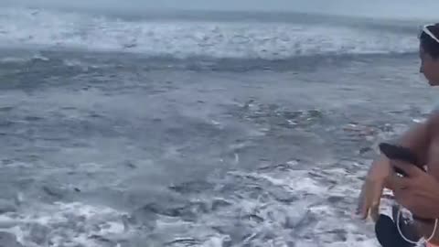 Thousands of fish jumped out of the water