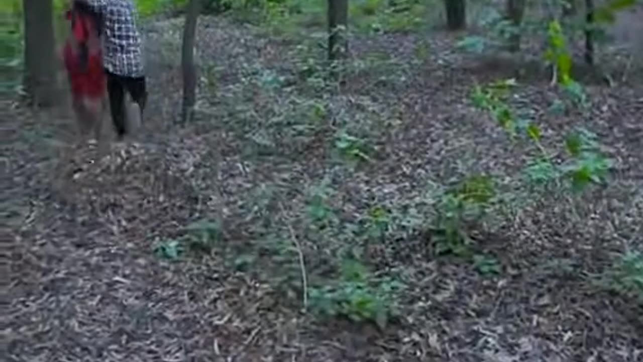 Funny video