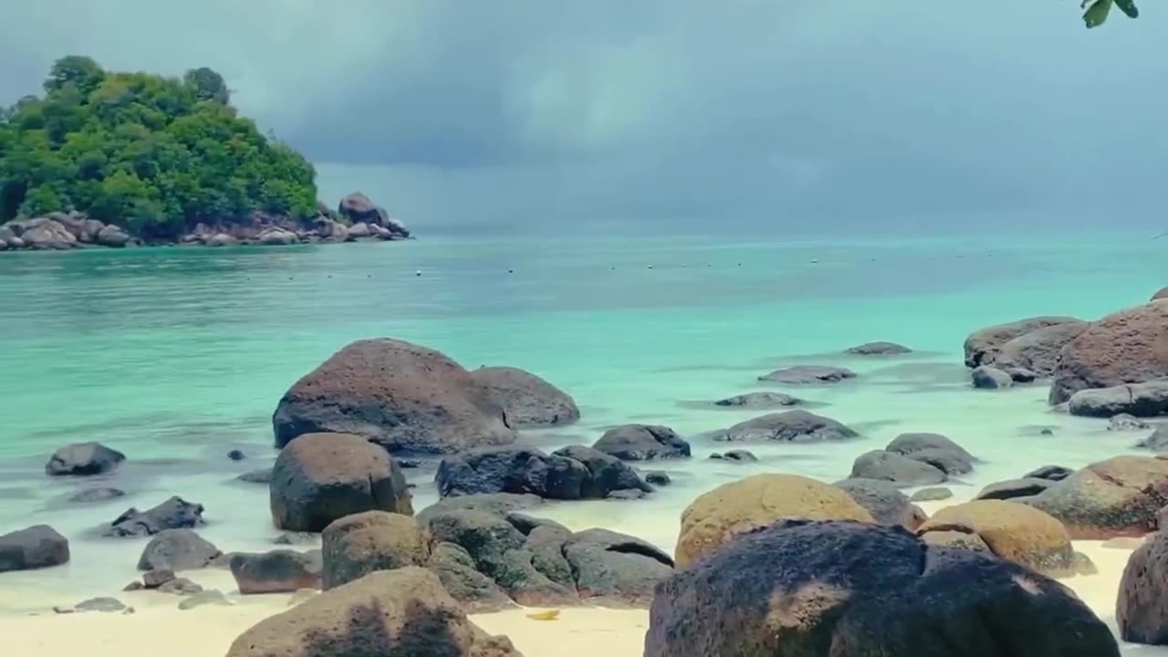 Very Beautiful Nature Video At The Beach