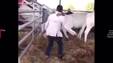 funny videos 😂😂 of 2023