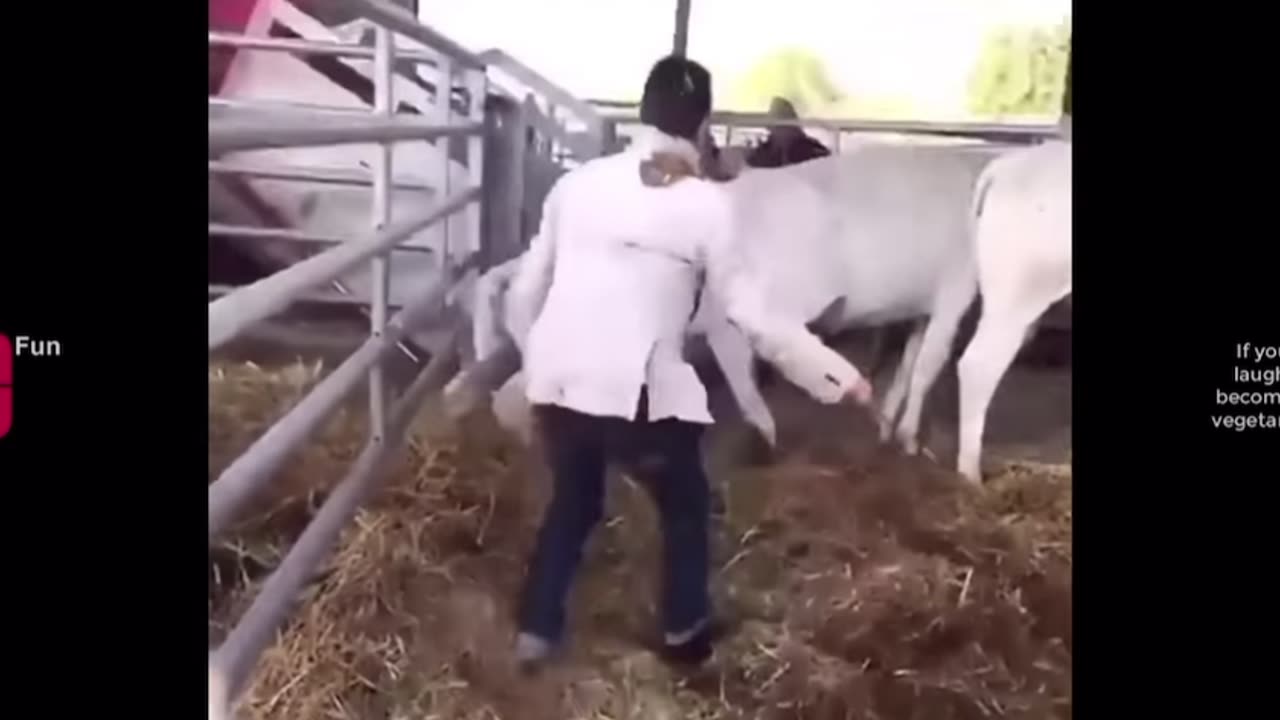 funny videos 😂😂 of 2023