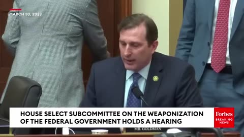 'Where Are Those Witnesses, Mr. Chairman-'- Goldman Calls Out Republicans At Weaponization Hearing