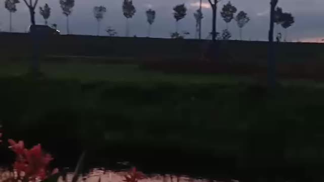 The roadside scene is really beautiful.