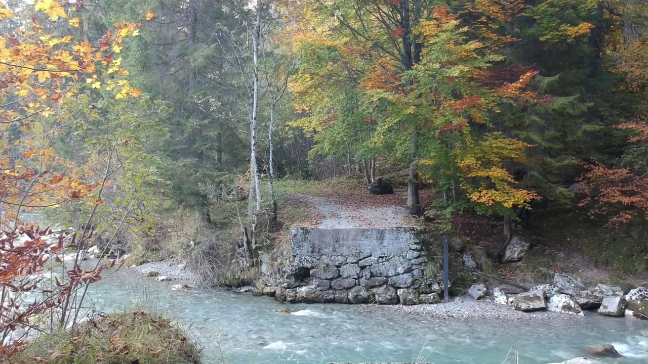 [4K] Autumn Leaves ｜ Drone Aerial View ｜ Free Stock Footage