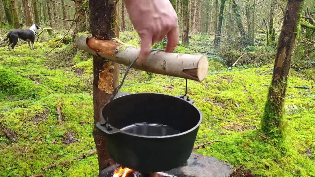 Lemon Crunchy Chicken cooked in the middle of the forest. ASMR cooking. NO TALK