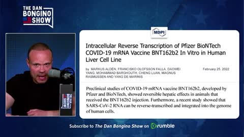 Bongino - New Study On Pfizer Vaccine Great Cause For Concern