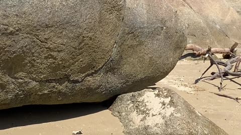 Acesse o vídeo completo: Flagrei algo Revoltante na Praia da Tainha em Bombinhas!