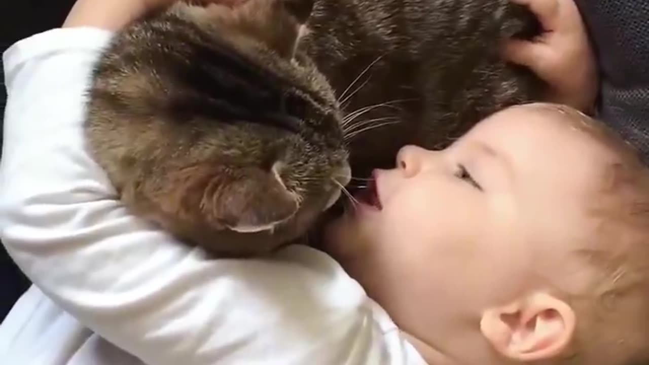 Cats love the babies 🥹❤️