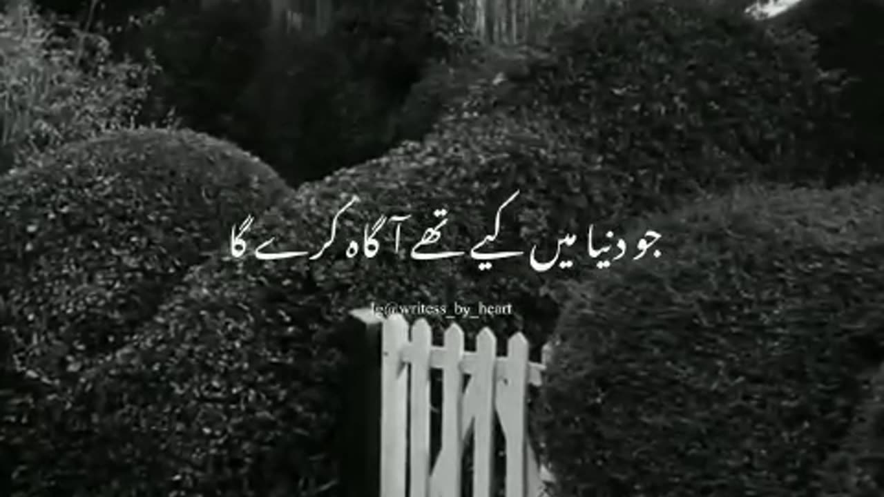 Surat