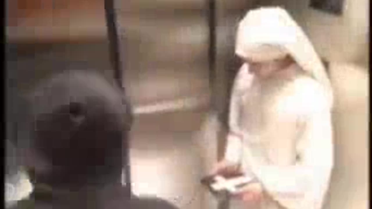 Funny memes 2023- viral Funny video make you laughππ€£π
π