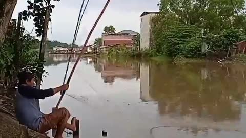 This is a beautiful and charming water-dwelling species