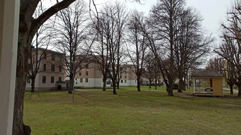 Från skogen vid Vivalla till Trumpetaregatan. Örebro 4 Maj 2022