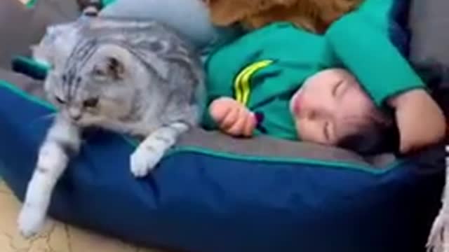 OMG So Cute Cats with child 2021 | Pets Garden.