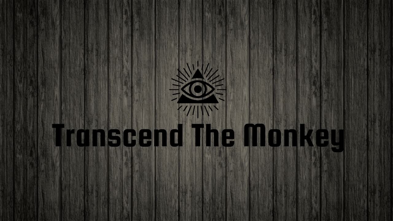 We're Back! Transcend The Monkey #39