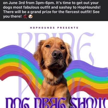 Drag dog show