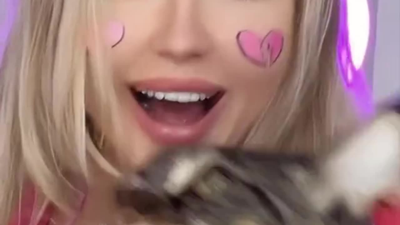 Cute cat with sexy girl