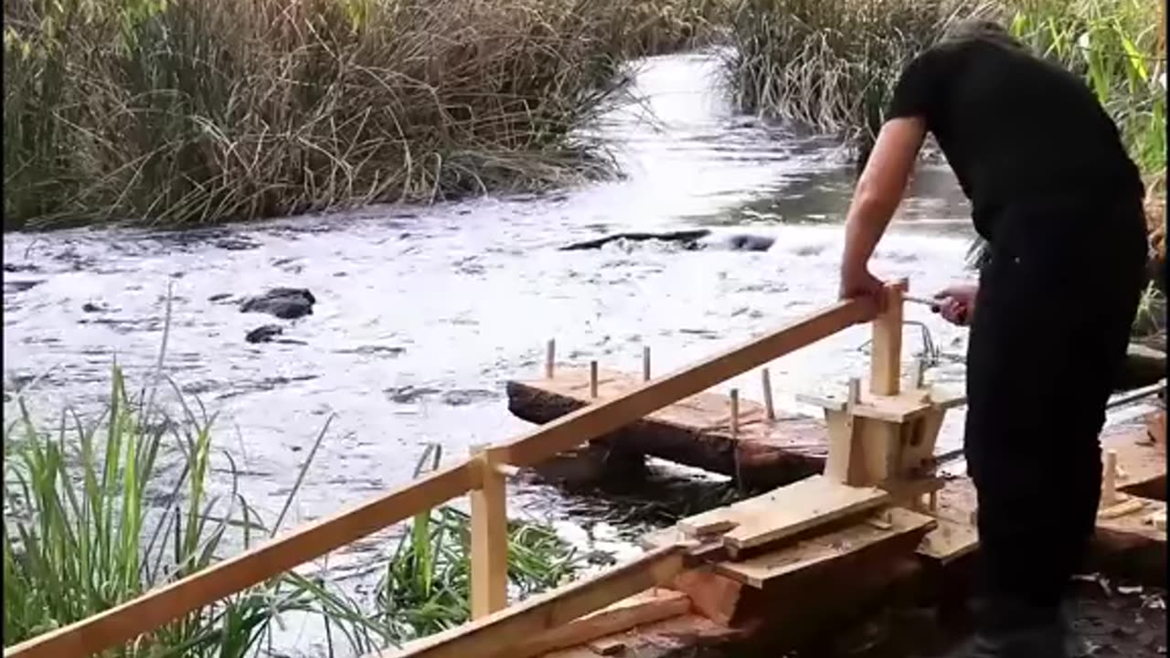 Building a bushcraft sawmill. Catch and cook, build a log cabin for survival