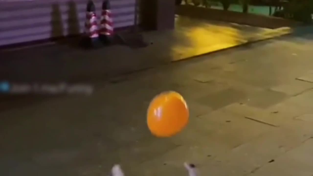 OMG awesome funny fails part 139. 😄 #funnyvideo #funny #fail #awesome #fun #dog #cat #funnyanimals